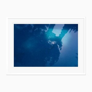 Stuart Möller, Bleu, 2020, Photographie Couleur