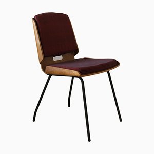 Silla Lucania Mid-Century de Carlo De Carlo para Arflex, Italia, 1954