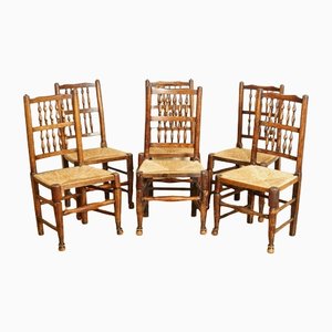 Dutch Dining Chairs in Elm, 1860s, Set of 6