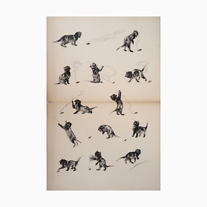 Théophile Alexandre Steinlen, The Cats Who Play, Lithograph