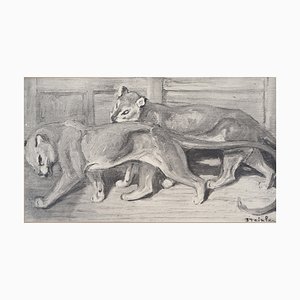 Théophile Alexandre Steinlen, Les Fauves, Lithograph