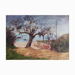 Angiolo Volpe, Tamerici, Oil on Canvas