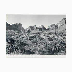 Big Bend National Park, Texas, États-Unis, 1960s, Photographie Noir & Blanc