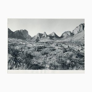 Fotografia in bianco e nero di Big Bend National Park, Texas, Stati Uniti, anni '60