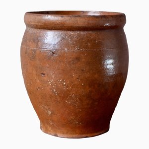 Graze Jar in Varnished Earth