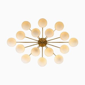 Orion Oval Chandelier by Momentum