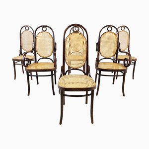 Dining Chairs from Radomsko, 1950s, Set of 6