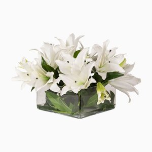 Arrangiamento quadrato Eternity Lilium di VGnewtrend