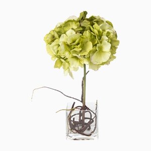 Composition d'Arrangement Eternity Cubo Hydrangea de VGnewtrend, Italie