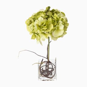 Italienisches Eternity Cubo Hortensie Set Arrangement Komposition von VGnewtrend