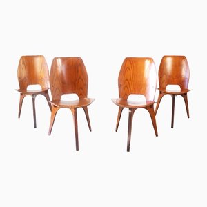 S3 Dining Chairs by Eugenio Gerli for Tecno, Set of 4