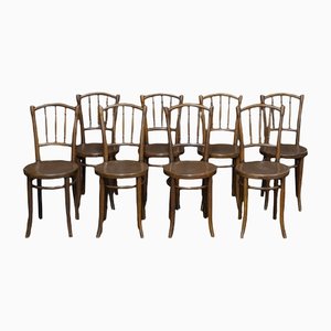 Bugholz Stühle von Thonet, 8er Set