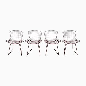 Vintage Wire Chairs by Harry Bertoia, 1970s, Set of 4