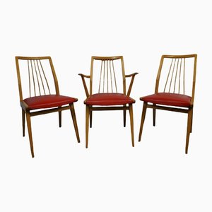 Noble Chairs from Casala, 1950s, Set of 3