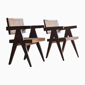 Back Model Pj-Si-28-a Floating Office Chairs by Pierre Jeanneret, 1955, Set of 2
