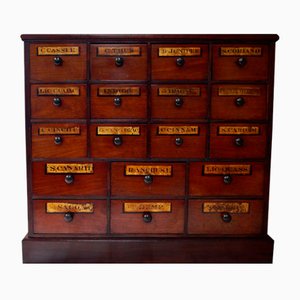 Antique Apothecary Spice Chest in Mahogany