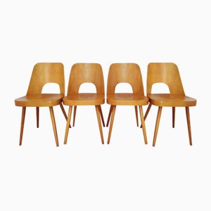 Chaises Tchécoslovaques par O. Haerdtl pour Ton, 1960s, Set de 4