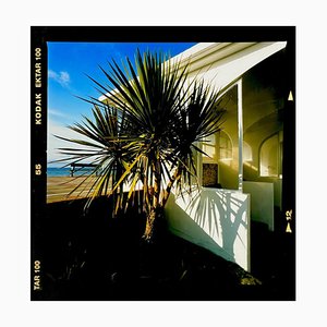 Palms, St Leonards-on-Sea, 2020, British Color Photograph