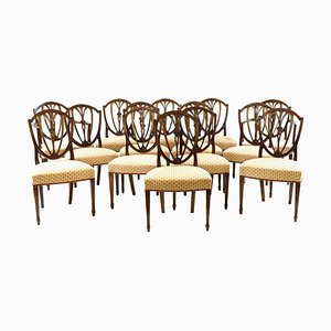 Mahogany Hepplewhite Dining Chairs, 19th Century, Set of 14
