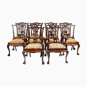Chippendale Revival Dining Chairs, 20th Century, Set of 10