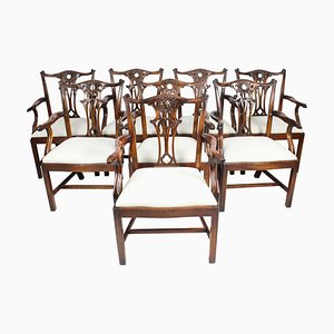 20th Century Chippendale Revival Mahogany Armchairs, Set of 10