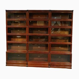 Mahogany Bookcase from Globe Wernicke, Set of 18