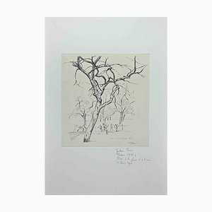 Gustave Pierre, Trees, Original China Ink and Pen Drawing, Early 20th-Century