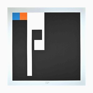 Bruno Munari, Negative-Positive, Original Screen Print, 1991