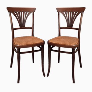 Antike Nr. 221 Stühle von Thonet, 1900er, 2er Set