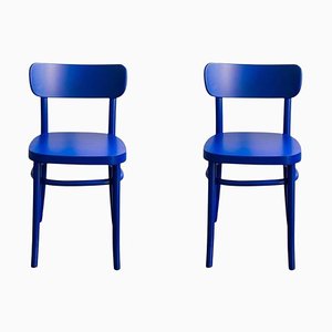 Blaue Mzo Stühle von Mazo Design, 2er Set
