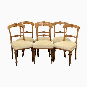 Victorian Oak Gothic Dining Chairs with Horse Hair Seats & Tapered Legs, Set of 6