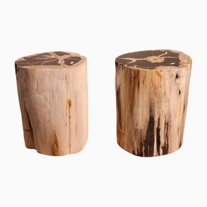 Bedside Tables in Fossilized Wood, Set of 2