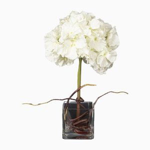 Italienisches Eternity Cubo Hortensie Set Arrangement Komposition von VGnewtrend