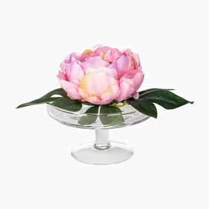 Composition d'Arrangement Eternity Alzata Pivoine de VGnewtrend, Italie