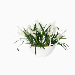 Italian Ship Bromelia Set Arrangement Composition from VGnewtrend