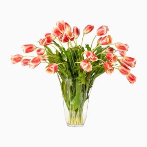 Italian Eternity Fazzoletto Tulip Set Arrangement Composition from VGnewtrend