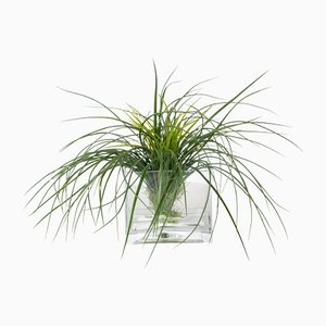 Italian Eternity Square Grass Set Arrangement Composition from VGnewtrend