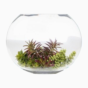Italian Eternity Oval Fat Plant Set Arrangement Composition from VGnewtrend