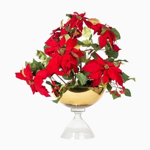 Italian Coppa Alice Red Star Set Arrangement Composition from VGnewtrend