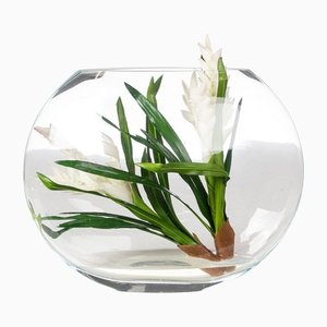 Italian Eternity Oval Bromelia Set Arrangement Composition from VGnewtrend