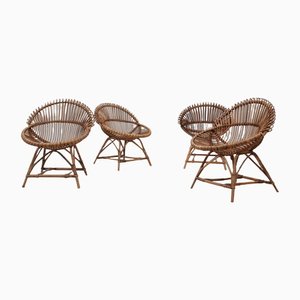 Mid-Century Stuhl in Muschelform aus Rattan von Franco Albini, 1950er, 4er Set