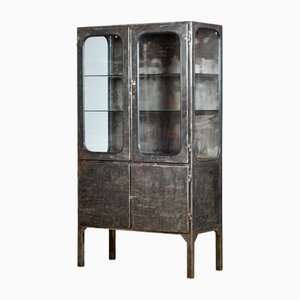 Vintage Medical Cabinet in Glass and Iron, 1970s