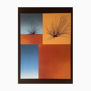 Carmen Aguade, Analitica 7, 1979, Siebdruck auf GuarroPaper