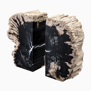 Opiol Petrified Wood Bookends by Pacific Compagnie Collection, Set of 2