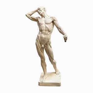 Ecorché Man Sculpture in Resin by Edouard Lanteri