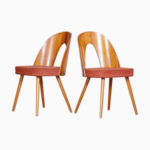 Chaises Mid-Century par Antonín Šuman, République Tchèque, 1950s, Set de 2