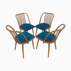Retro Czech Chair by Antonín Šuman for Ton, 1960s, Set of 4