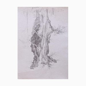 André Roland Brudieux, Tree, Original Pencil Drawing, 1970s