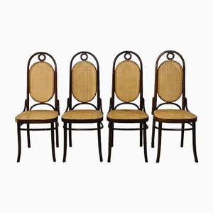 N ° 17 Dining Chairs by Thonet & FMG, 1960s, Set of 4