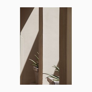 Anna Martianova, Abstract Lines of Arches with Flowers, Photograph